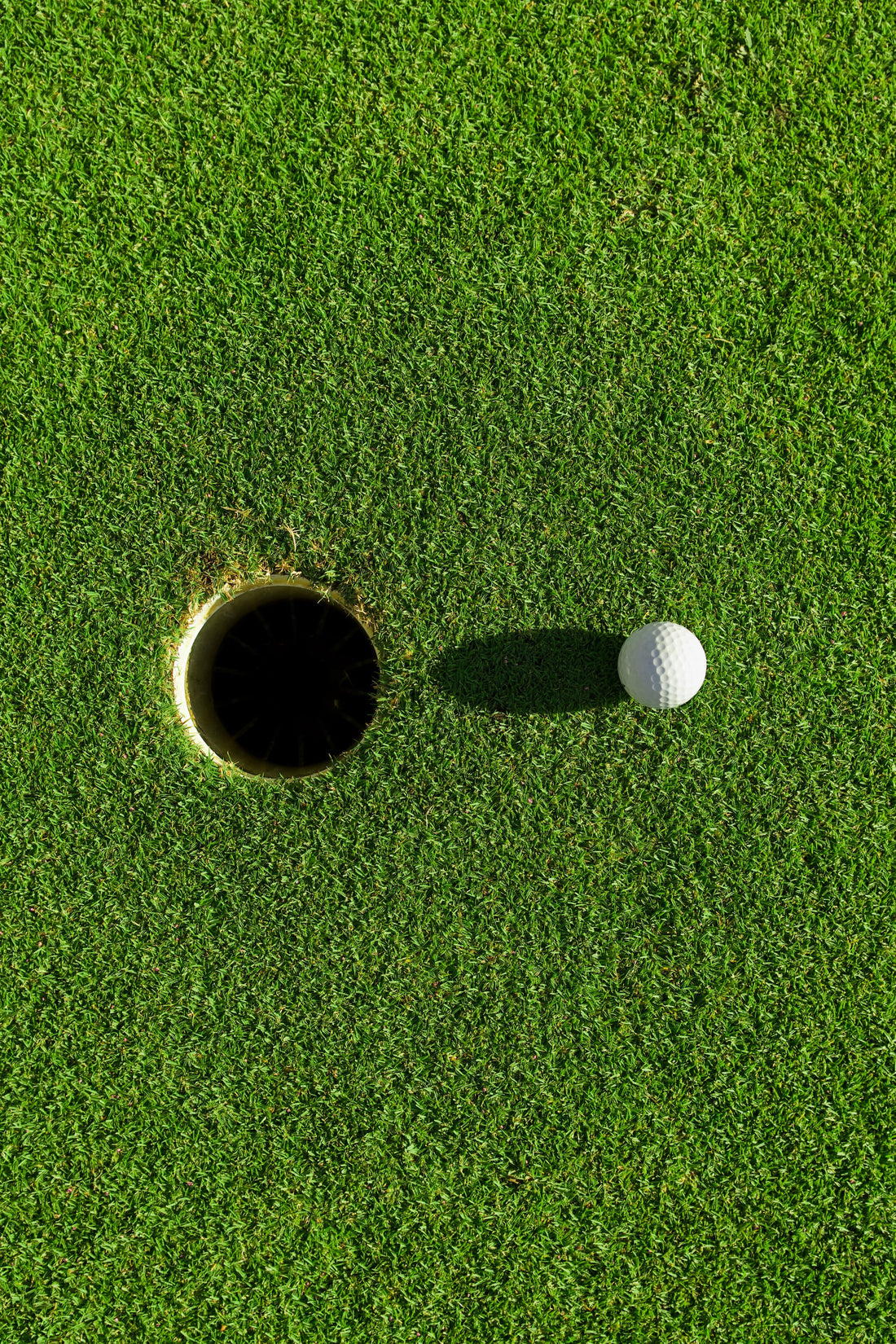 2024 Golf Goals: Breaking 90 or Just Breaking Even with Fun?