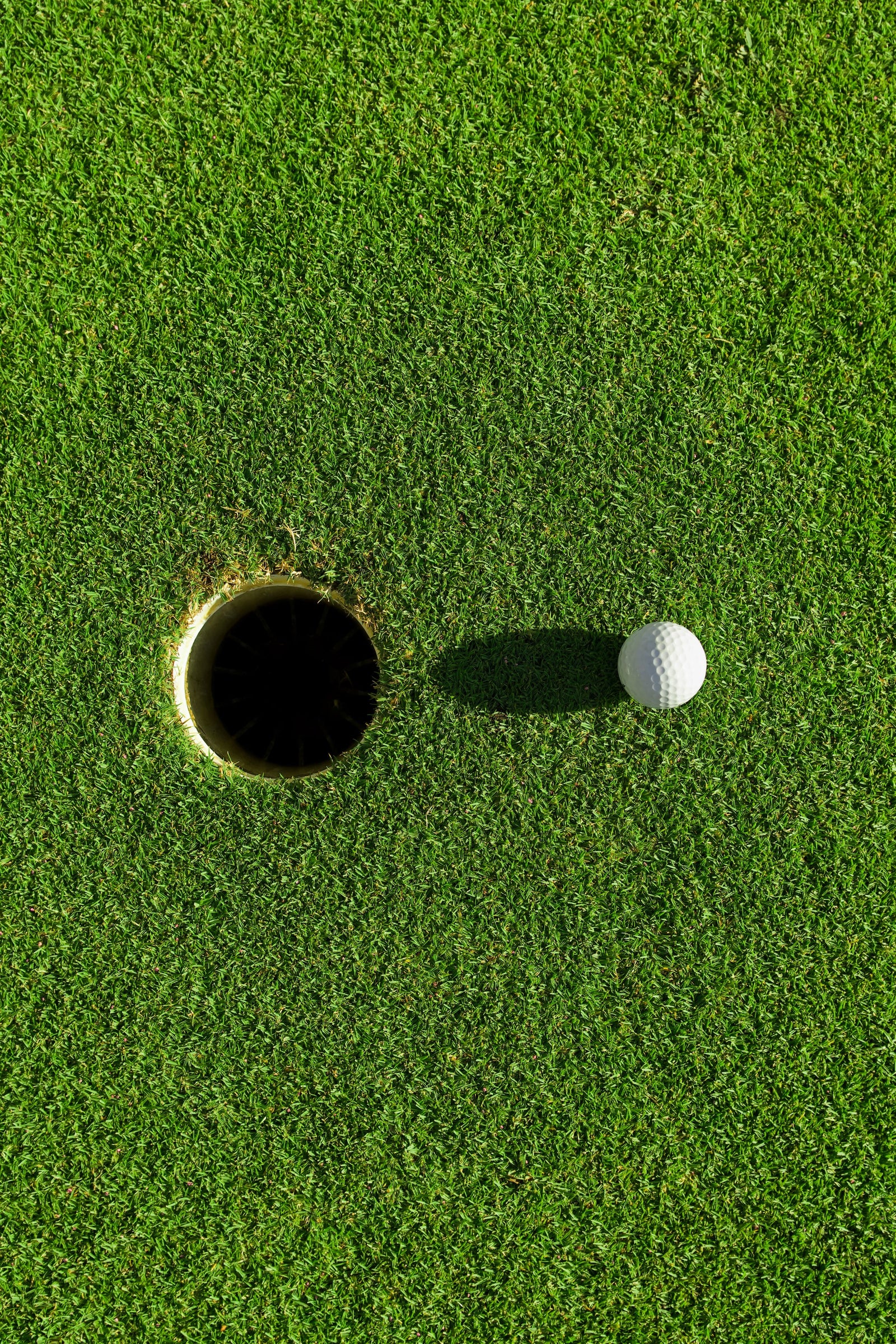 2024 Golf Goals: Breaking 90 or Just Breaking Even with Fun?